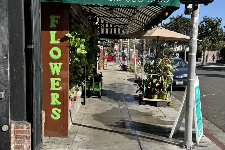 Sidewalk view of a flower shop with plants and striped awning in sunny weather.